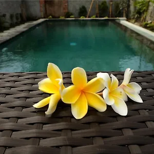 Eka Bali Ubud (Bali)