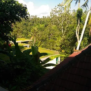 Punia's Jungle Guest house